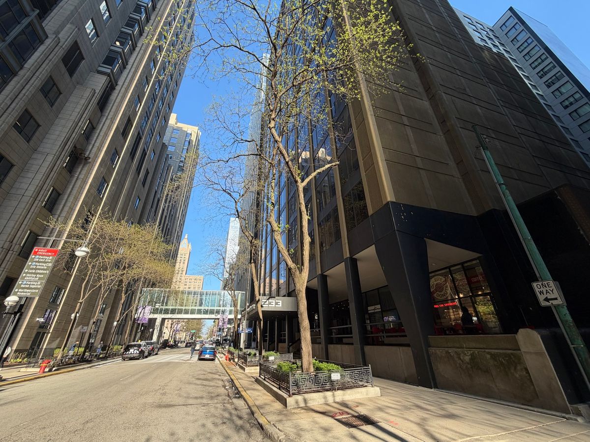 233 Erie Street, Chicago, IL 60611