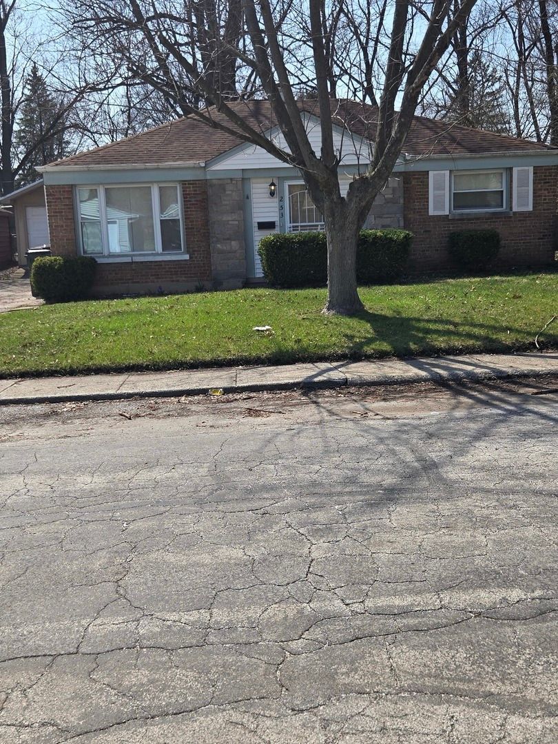 253 Mantua Street — Park Forest, IL 60466