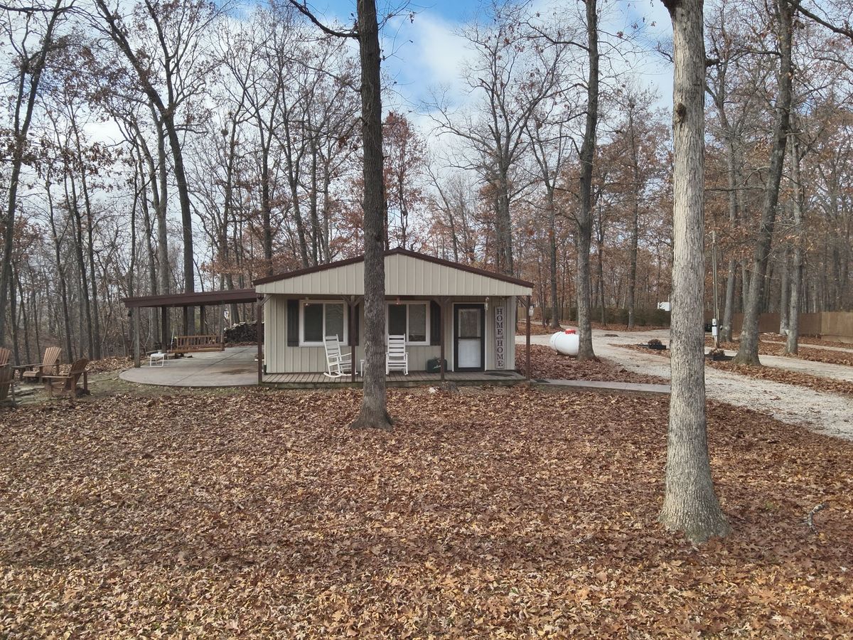 19650 N Pisque Lane, Woodlawn, IL 62898