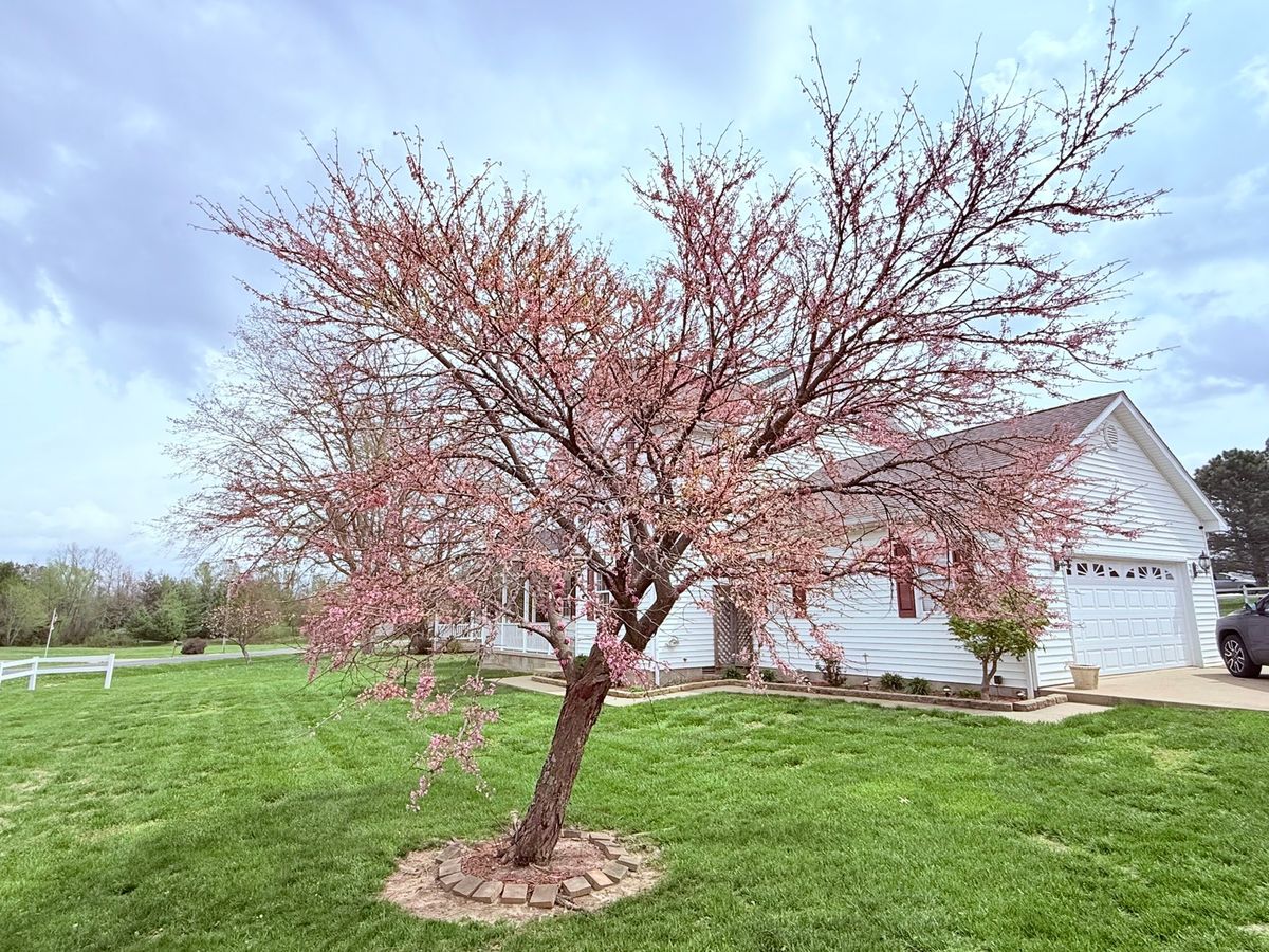 312 Cherokee Drive, Harrisburg, IL 62946