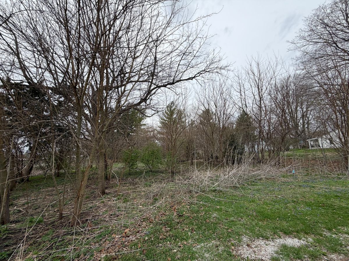 112 Church Street, Homer, IL 61849