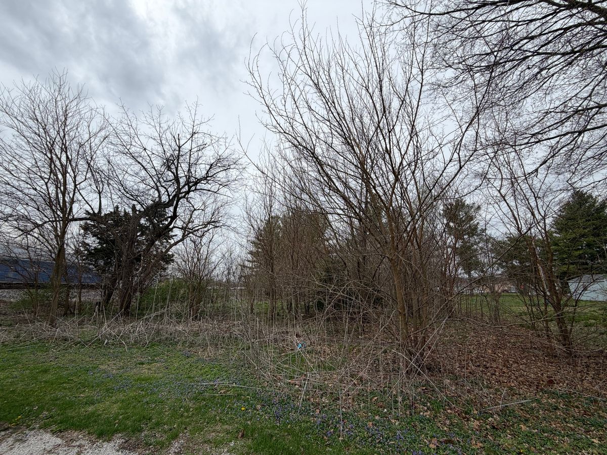 112 Church Street, Homer, IL 61849