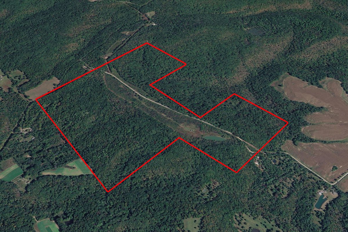 191 Bruce Johnson Road, Herod, IL 62947