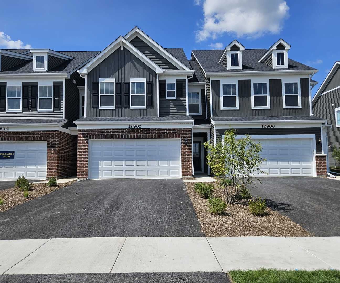 12802 S NICHOLAS Drive — Plainfield, IL 60585