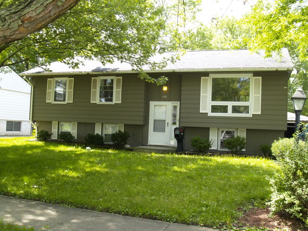 450 E MULBERRY Court — Glenwood, IL 60425