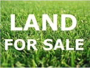 1225 Kedzie Avenue, Chicago, IL 60623