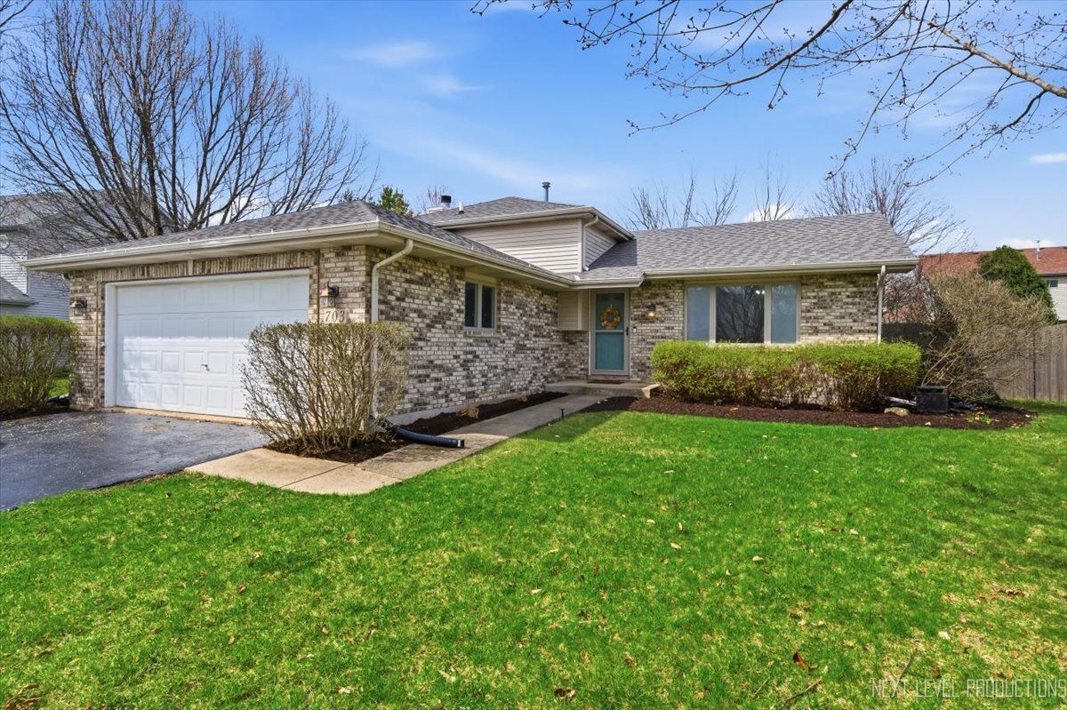 703 Ferret Crossing, Oswego, IL 60543