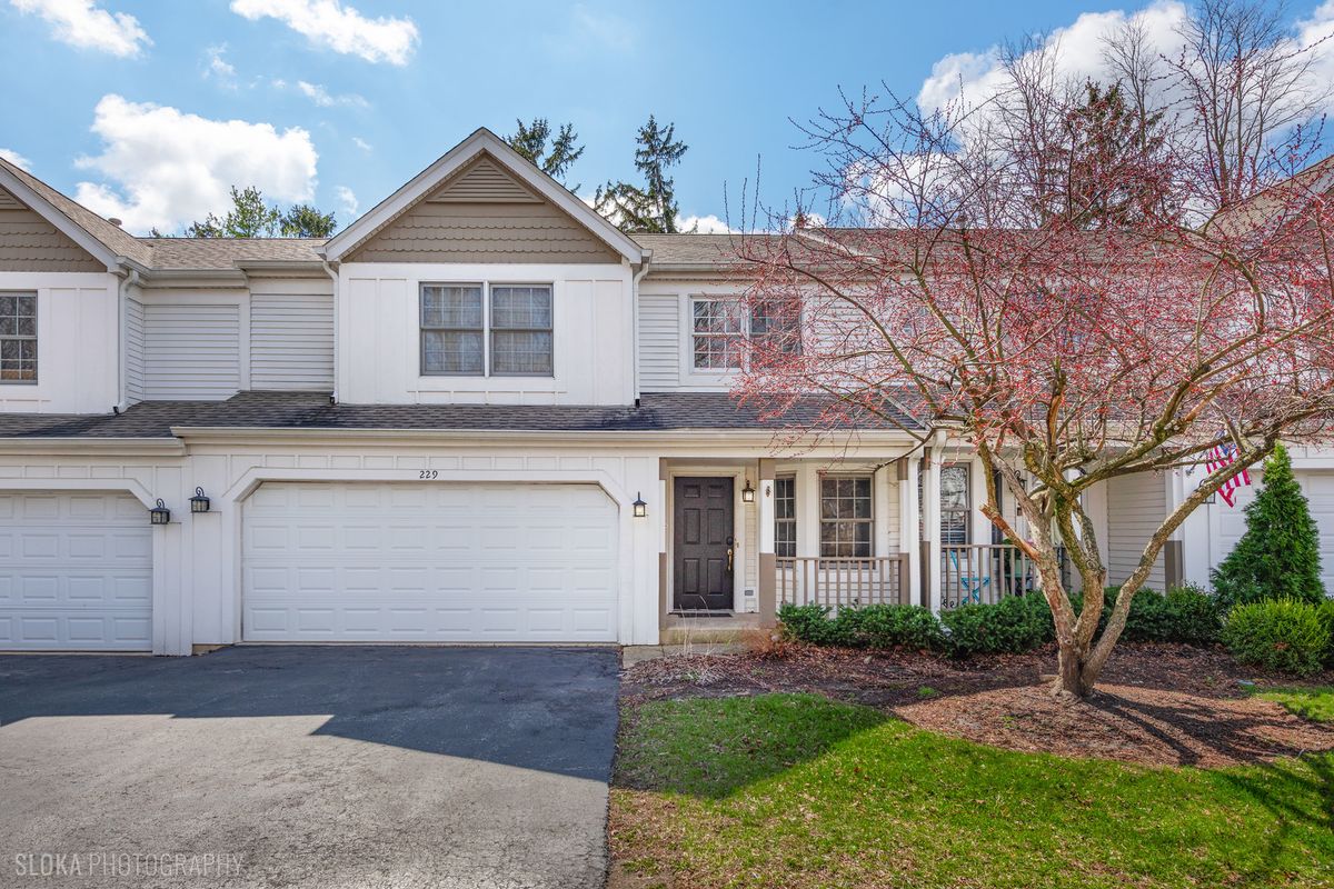 229 Spring Point Drive, Carpentersville, IL 60110