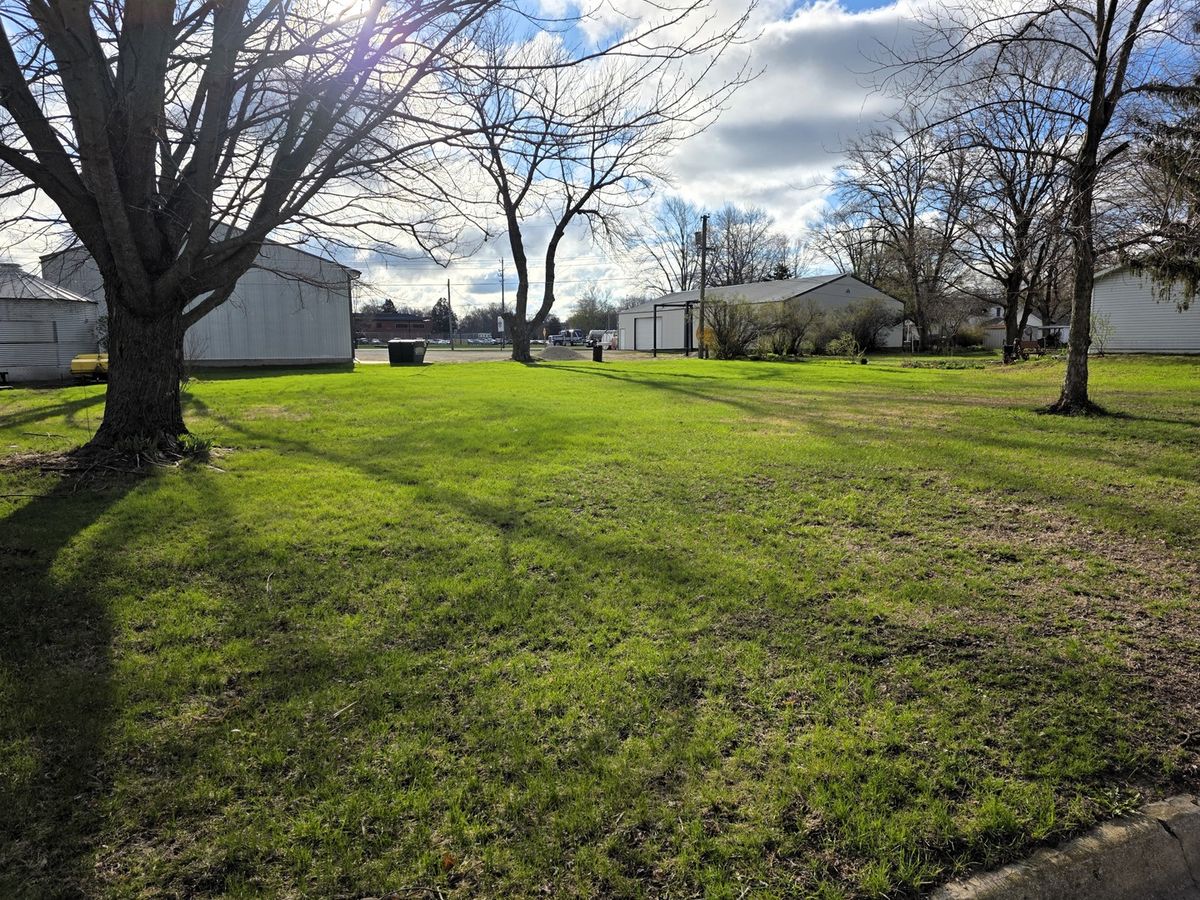 111 Birch Street, Prophetstown, IL 61277