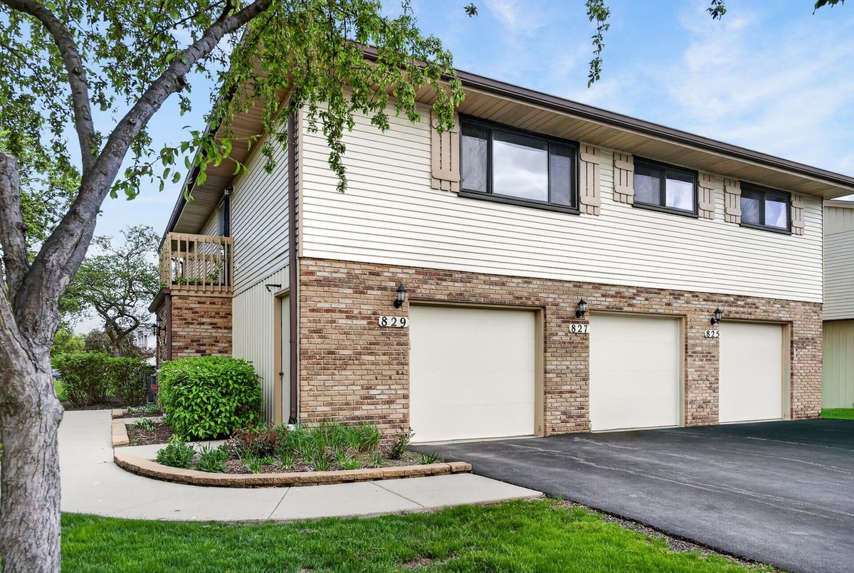 829 Dighton Lane, Schaumburg, IL 60173