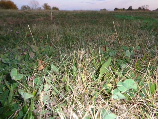 623 State Street, Lockport, IL 60441