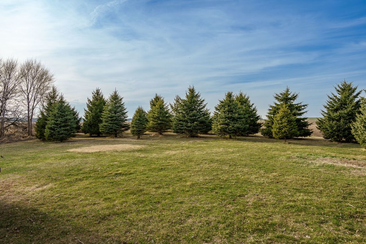 10182 N Adeline Road, German Valley, IL 61039