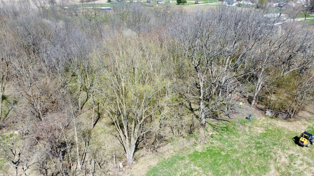 0 Nw 7th Avenue, Aledo, IL 61231
