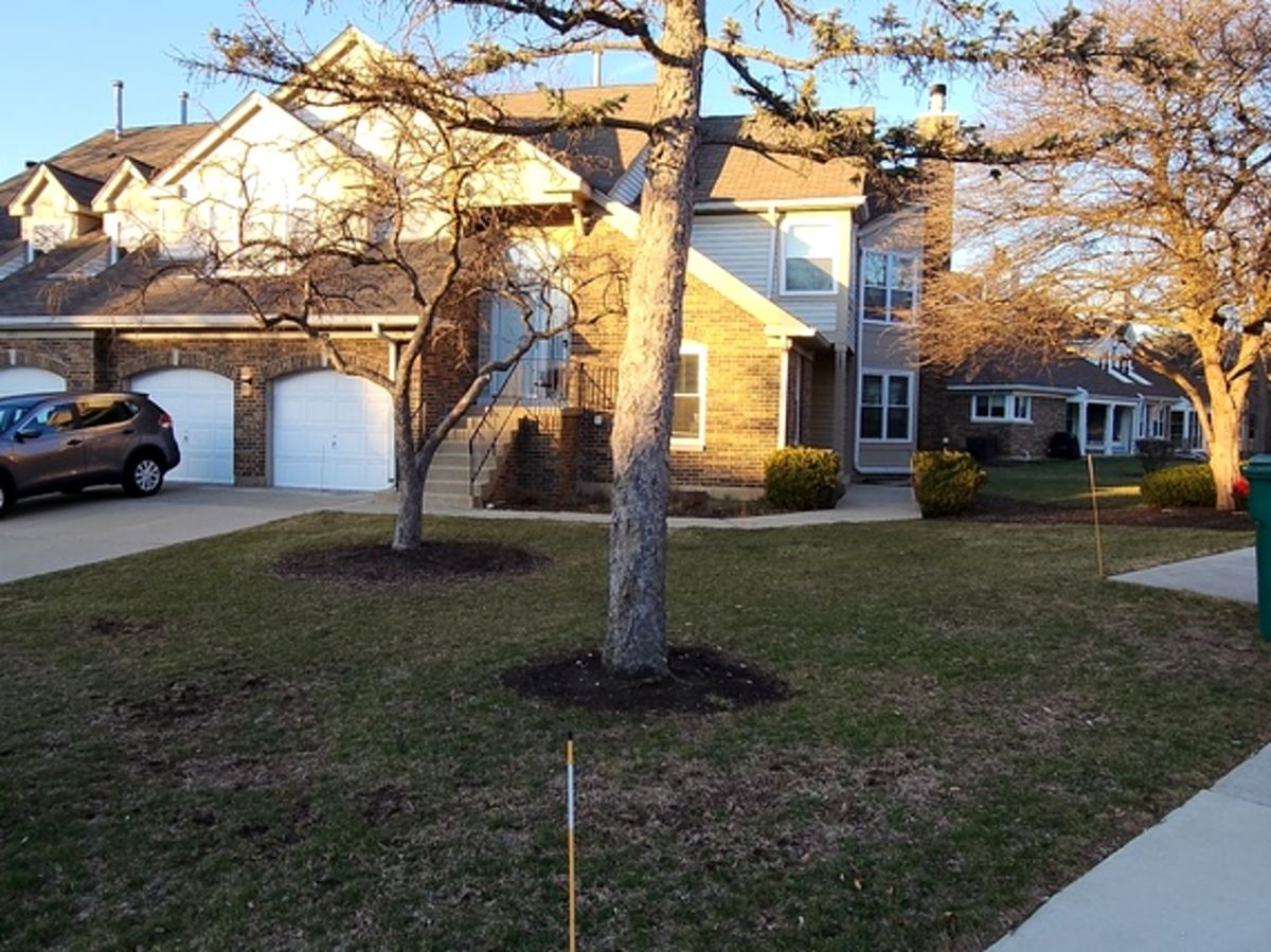 225 Willow Parkway, Buffalo Grove, IL 60089