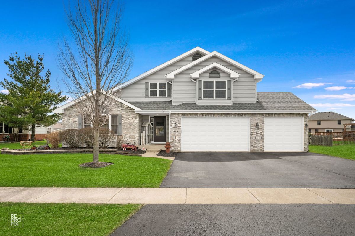 1028 LOUISE Lane, Peotone, IL 60468