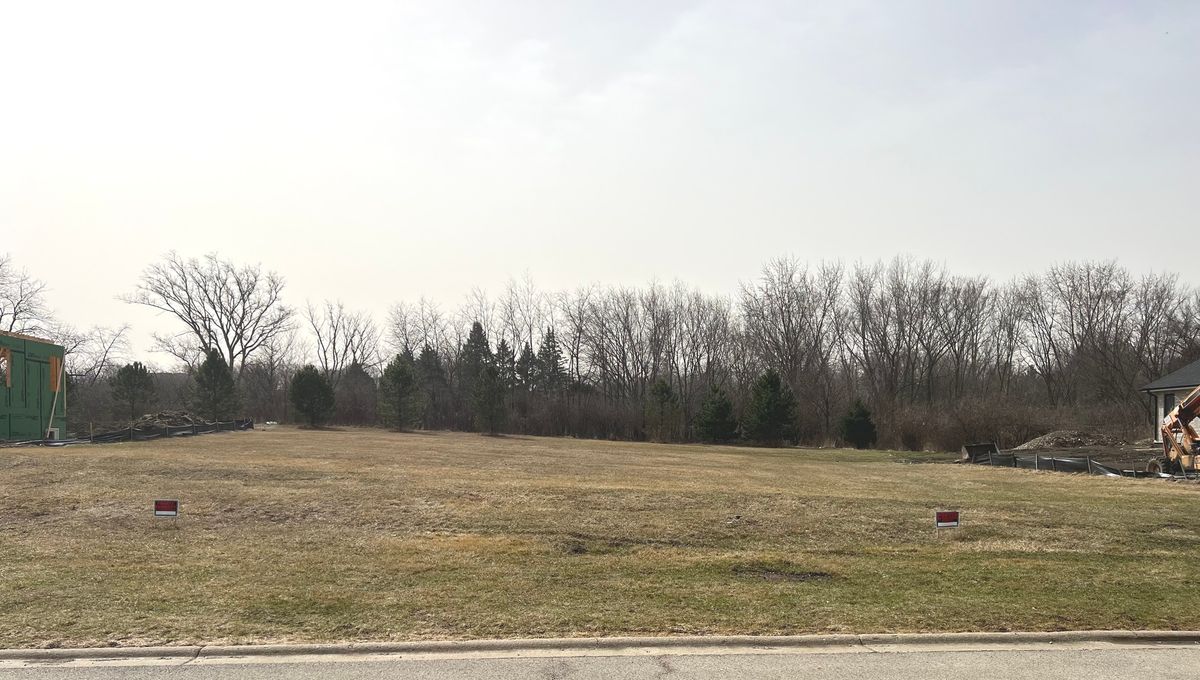 1244 Georgias Way, New Lenox, IL 60451