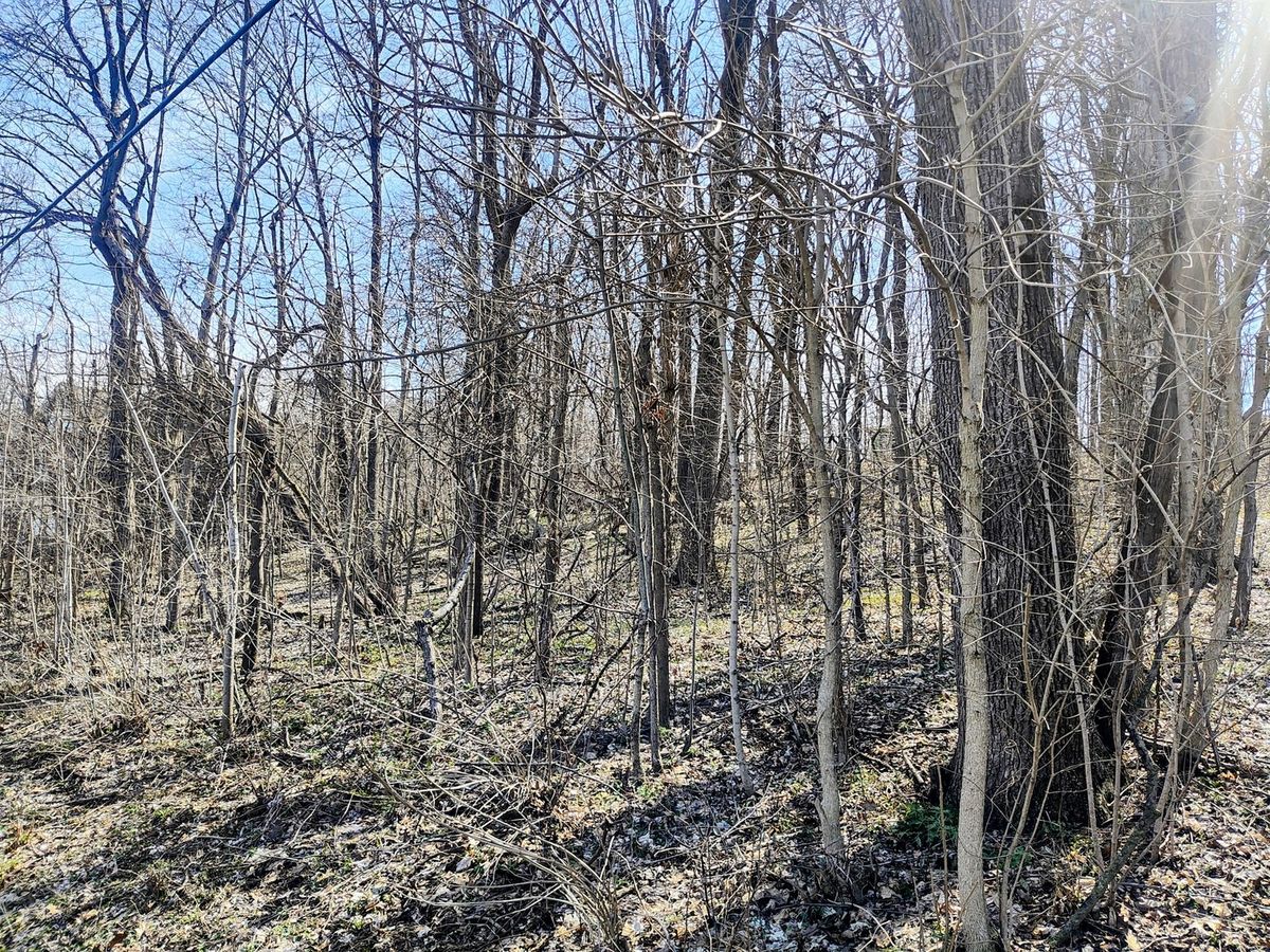 35W339-41 Riverside Drive, St. Charles, IL 60174