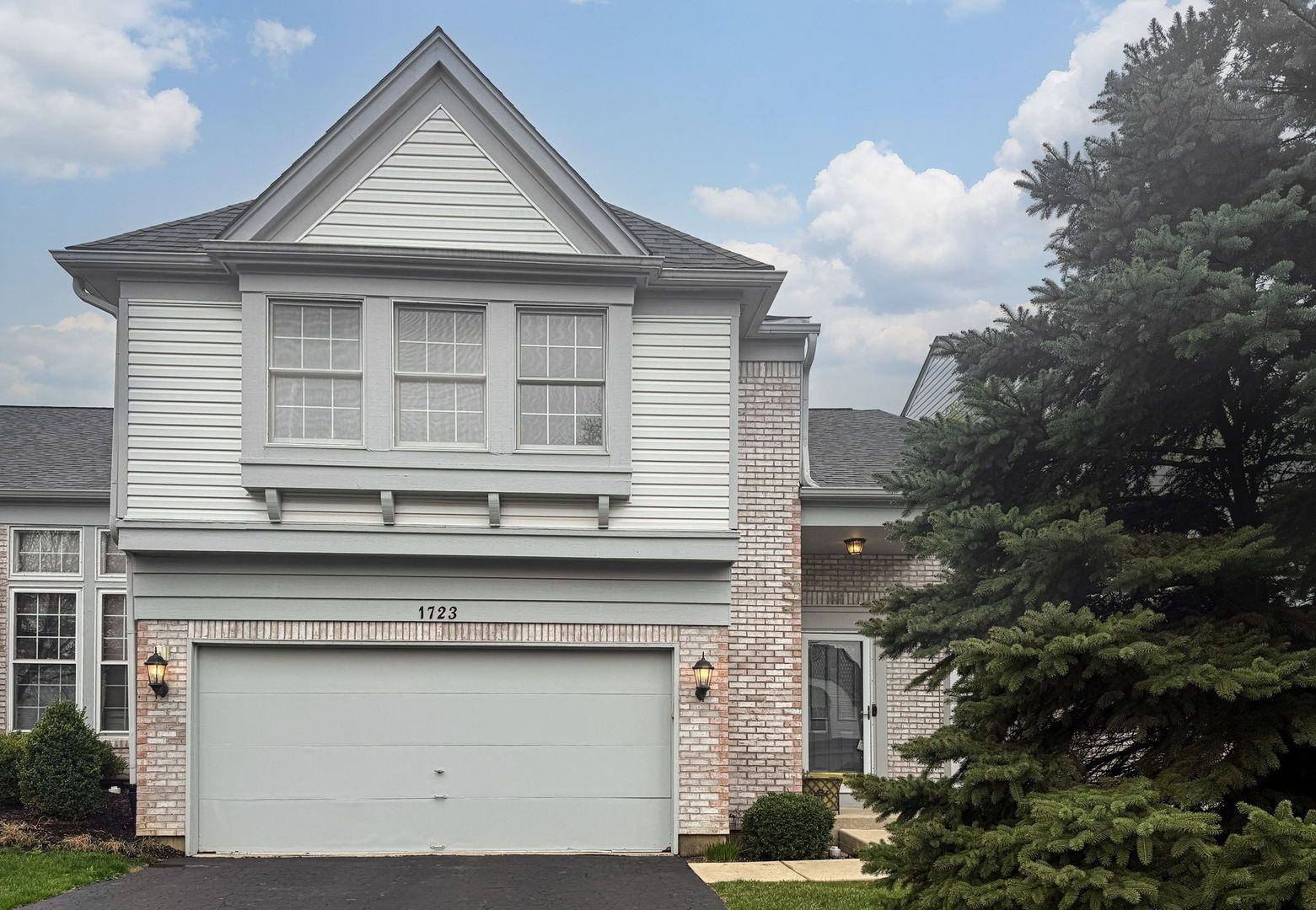 1723 Napoleon Drive — Naperville, IL 60565