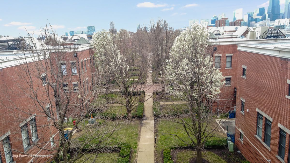 814 15th Place, Chicago, IL 60608