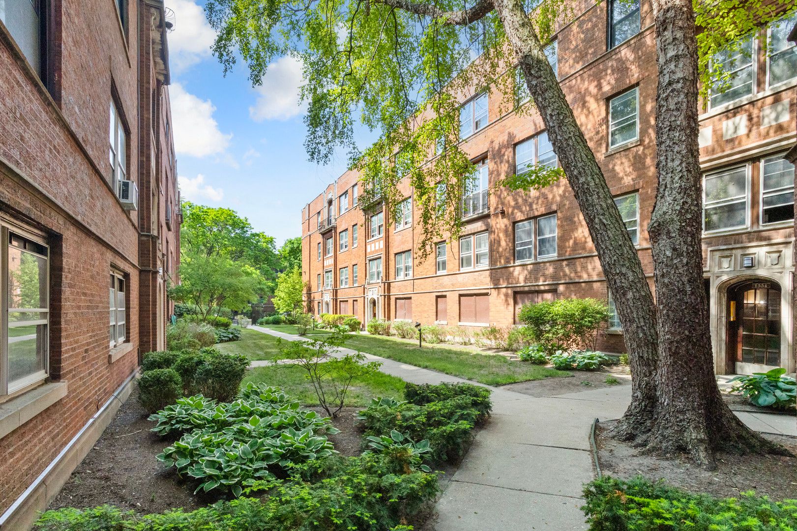 1554 W Juneway Terrace #3R — Chicago, IL 60626