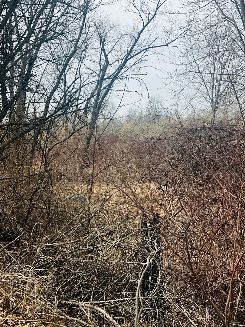 0000 15000 Road, Pembroke Twp, IL 60958