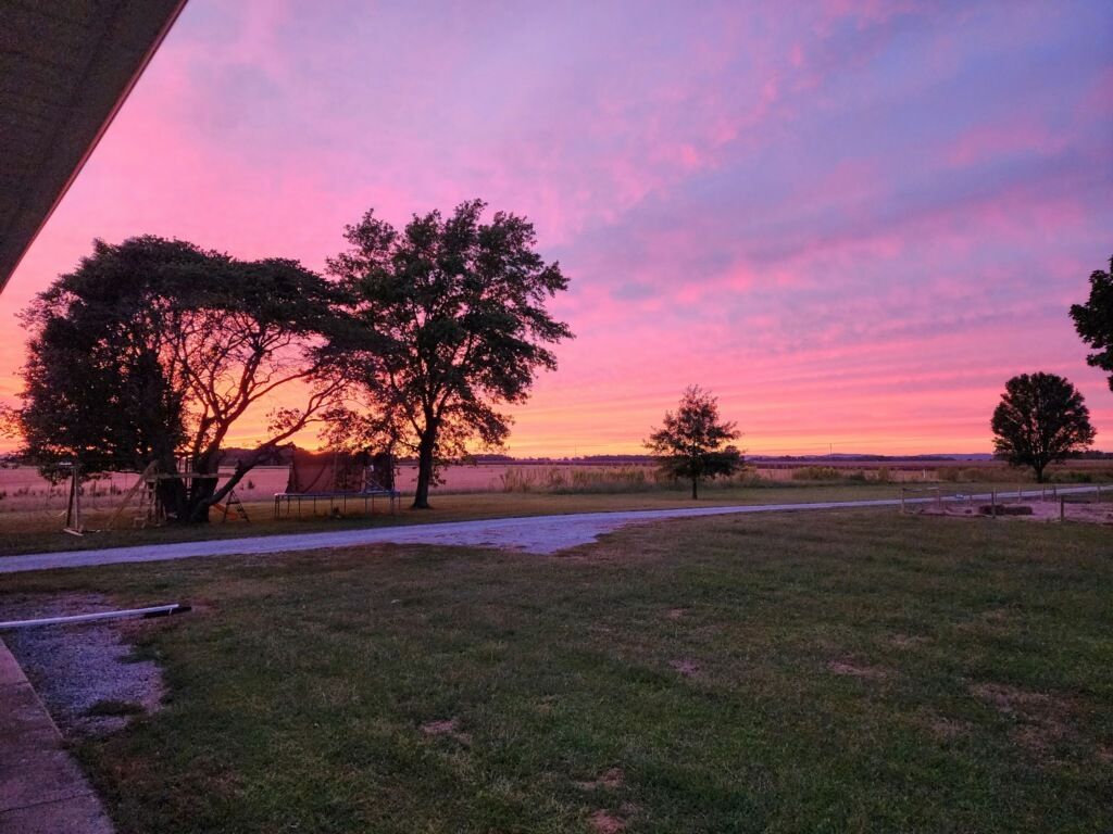 3992 Neunert Road, Jacob, IL 62950
