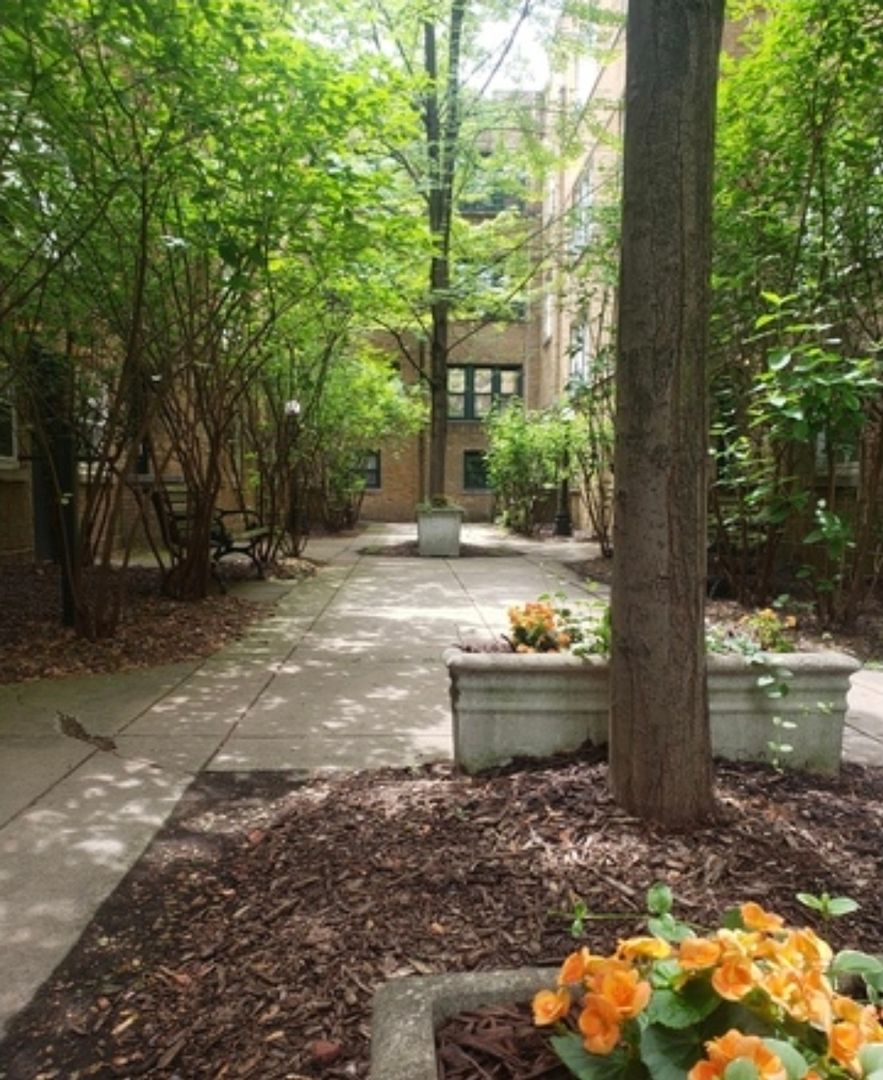 685 Wrightwood Avenue, Chicago, IL 60614