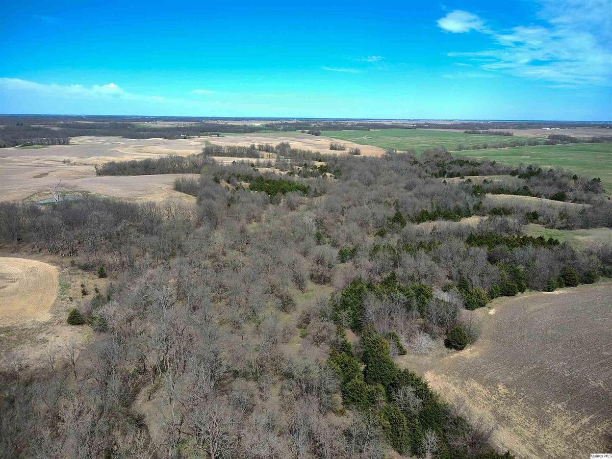 1637 N 2903rd Lane, Loraine, IL 62349
