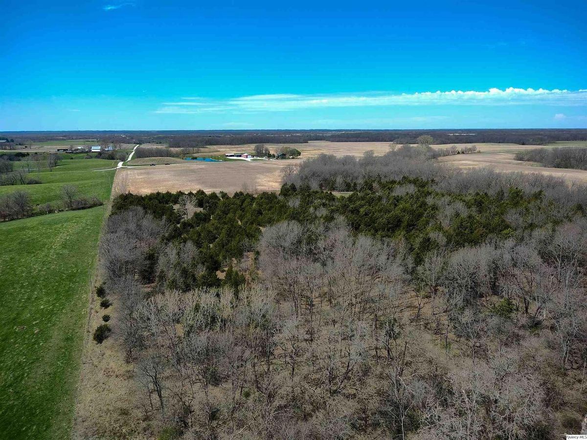 1637 N 2903rd Lane, Loraine, IL 62349