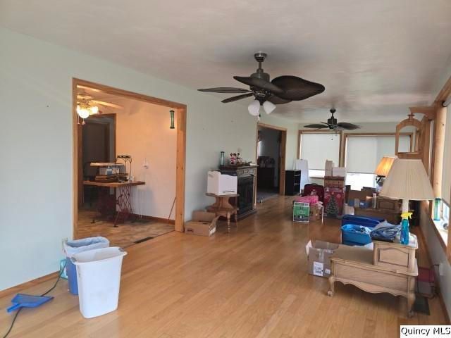 1741 Linn Street, Hamilton, IL 62341