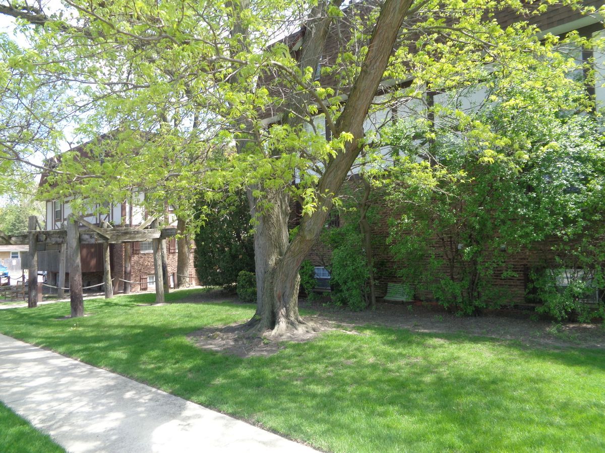 9433 86th Court, Hickory Hills, IL 60457