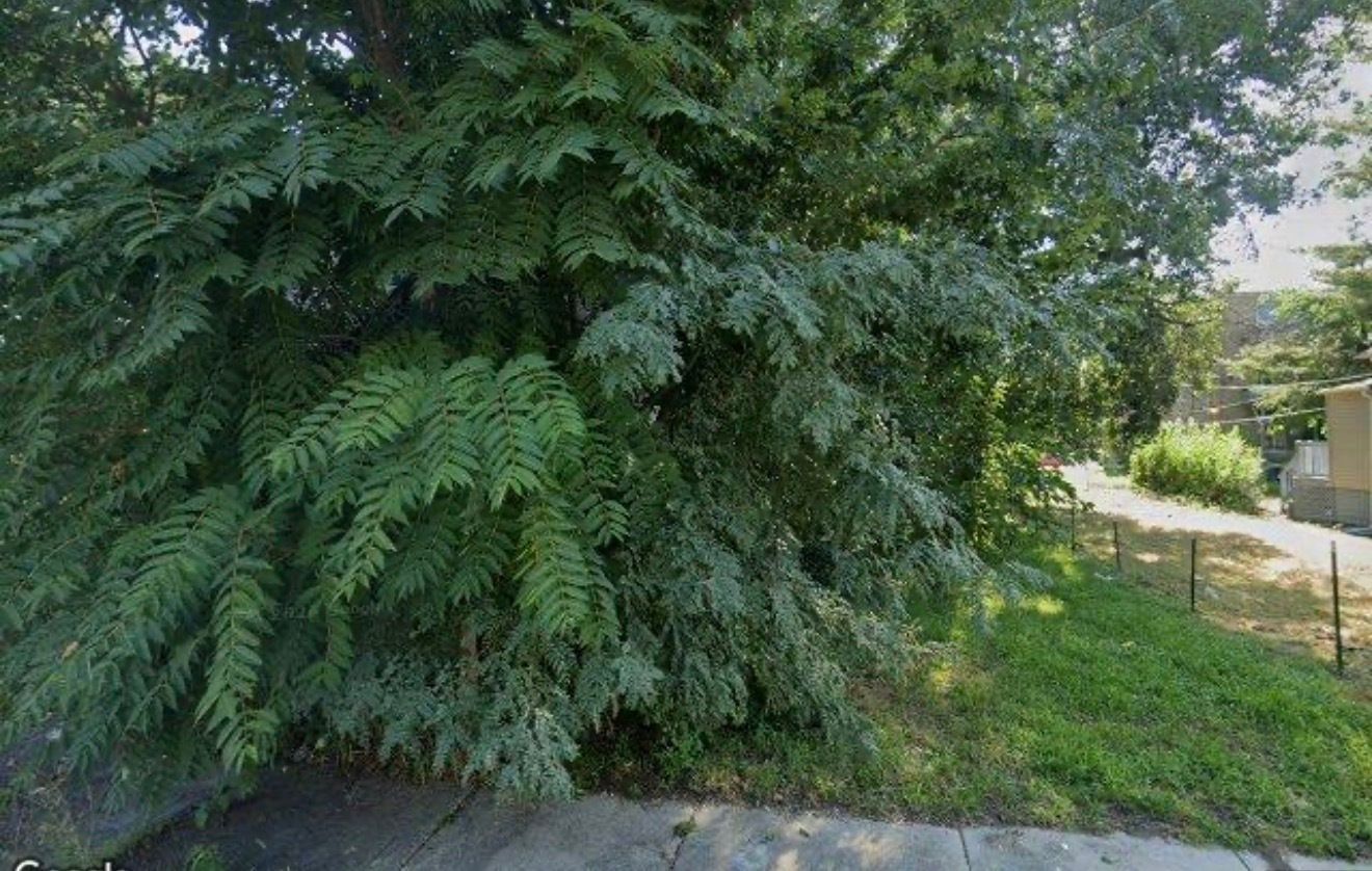 6521 S Emerald Avenue — Chicago, IL 60621