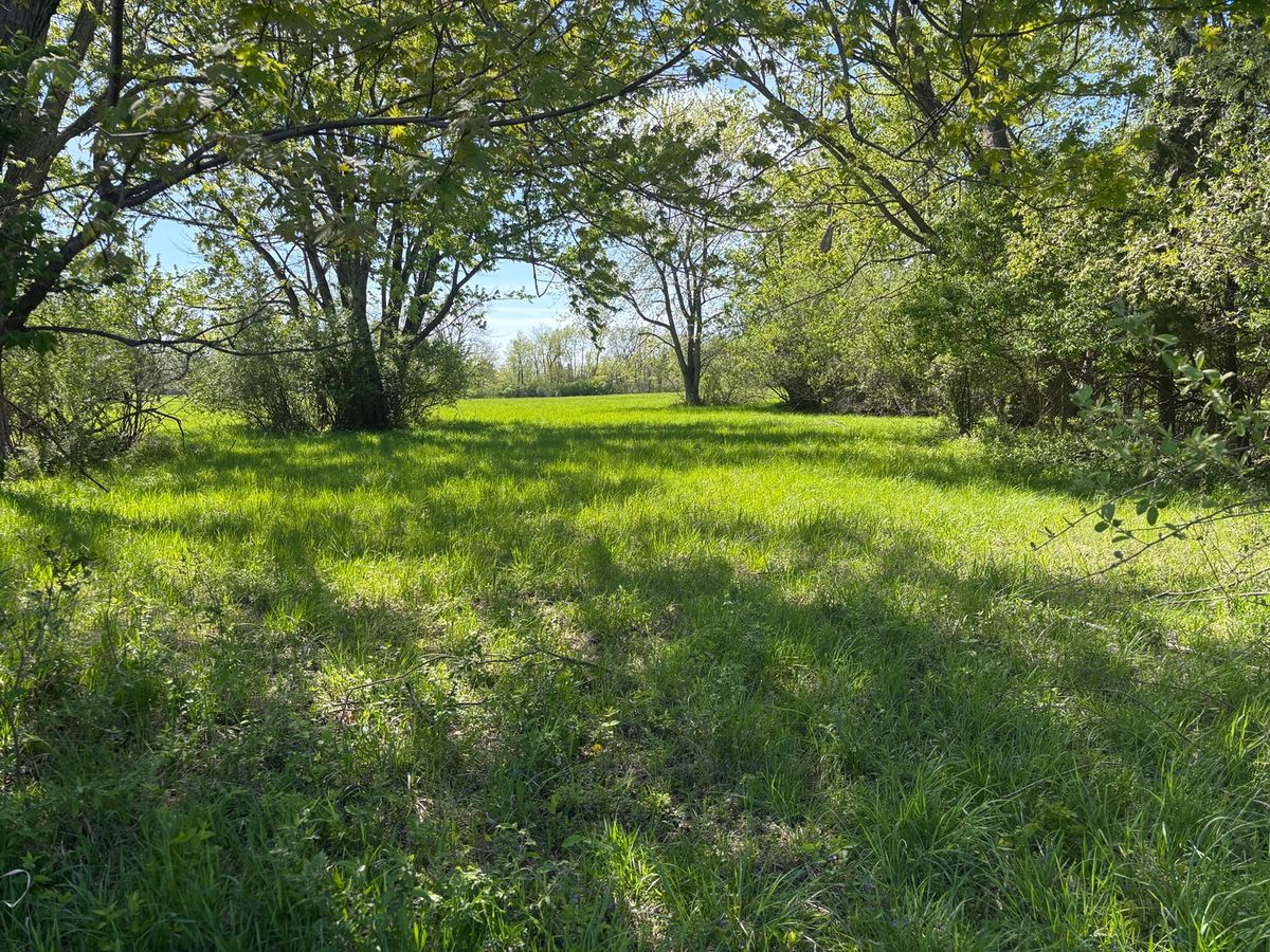 650 Lake Wildwood Drive, Varna, IL 61375