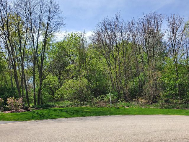 16149 Scenic Court — Wadsworth, IL 60083