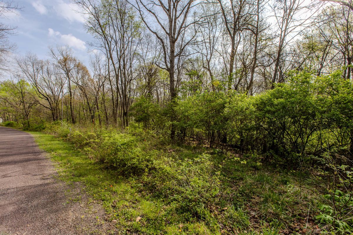 56,57 Summit Drive, Mackinaw, IL 61755