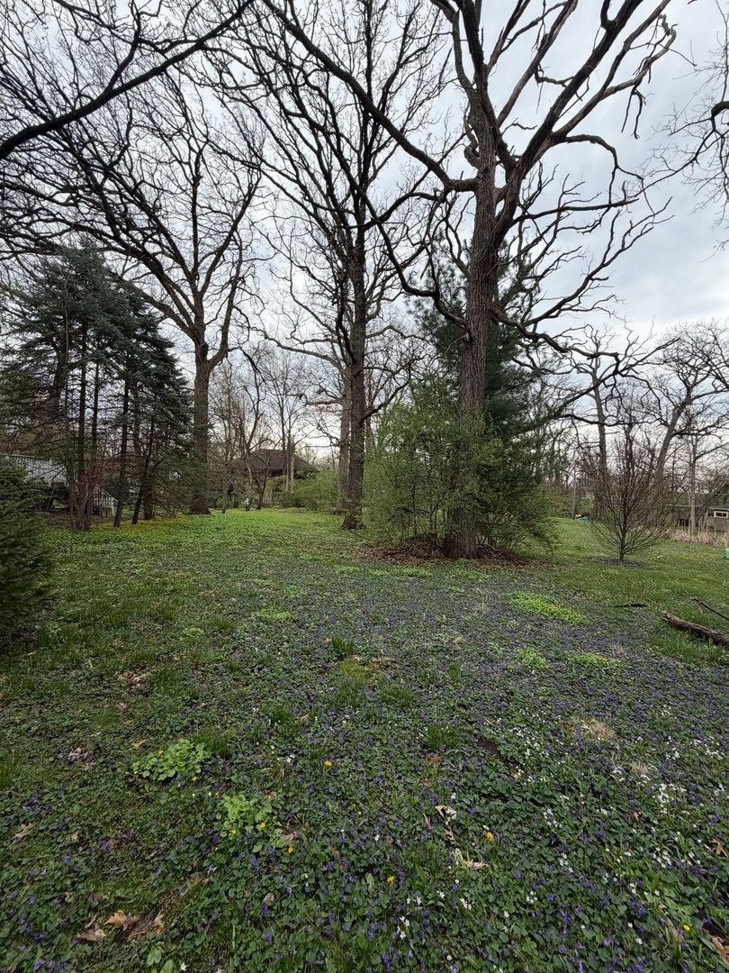 11407 Hiawatha Lane, Indian Head Park, IL 60525