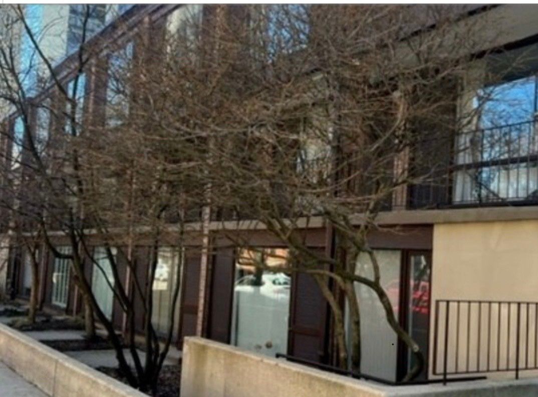 235 EUGENIE Street, Chicago, IL 60614