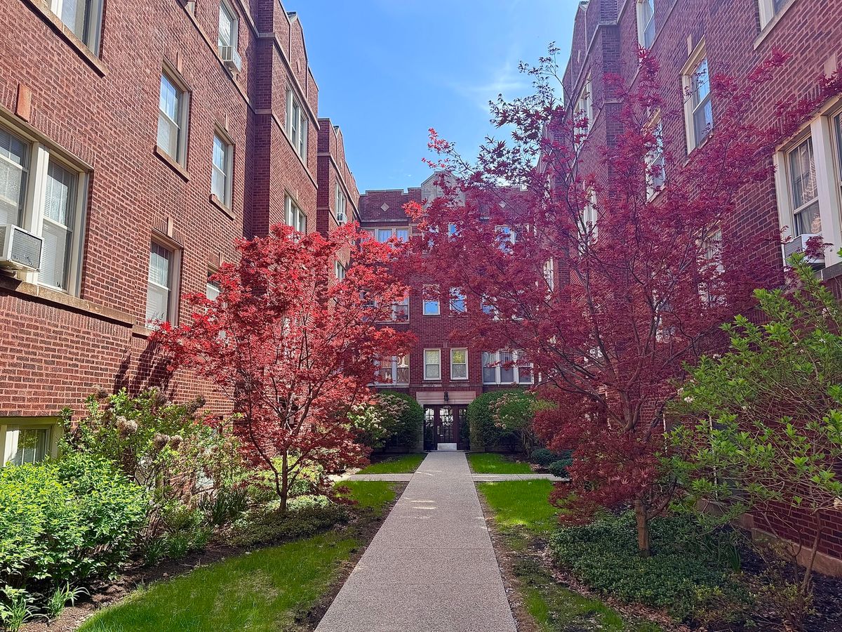 242 Maple Avenue, Oak Park, IL 60302