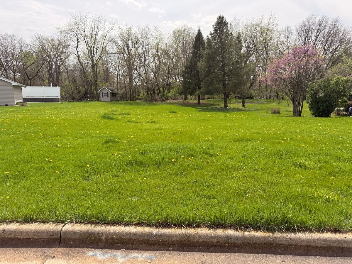 164 Via Savoy, Mark, IL 61340