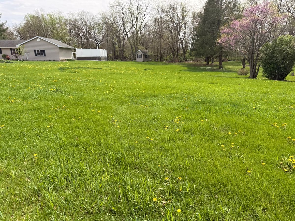 164 Via Savoy, Mark, IL 61340