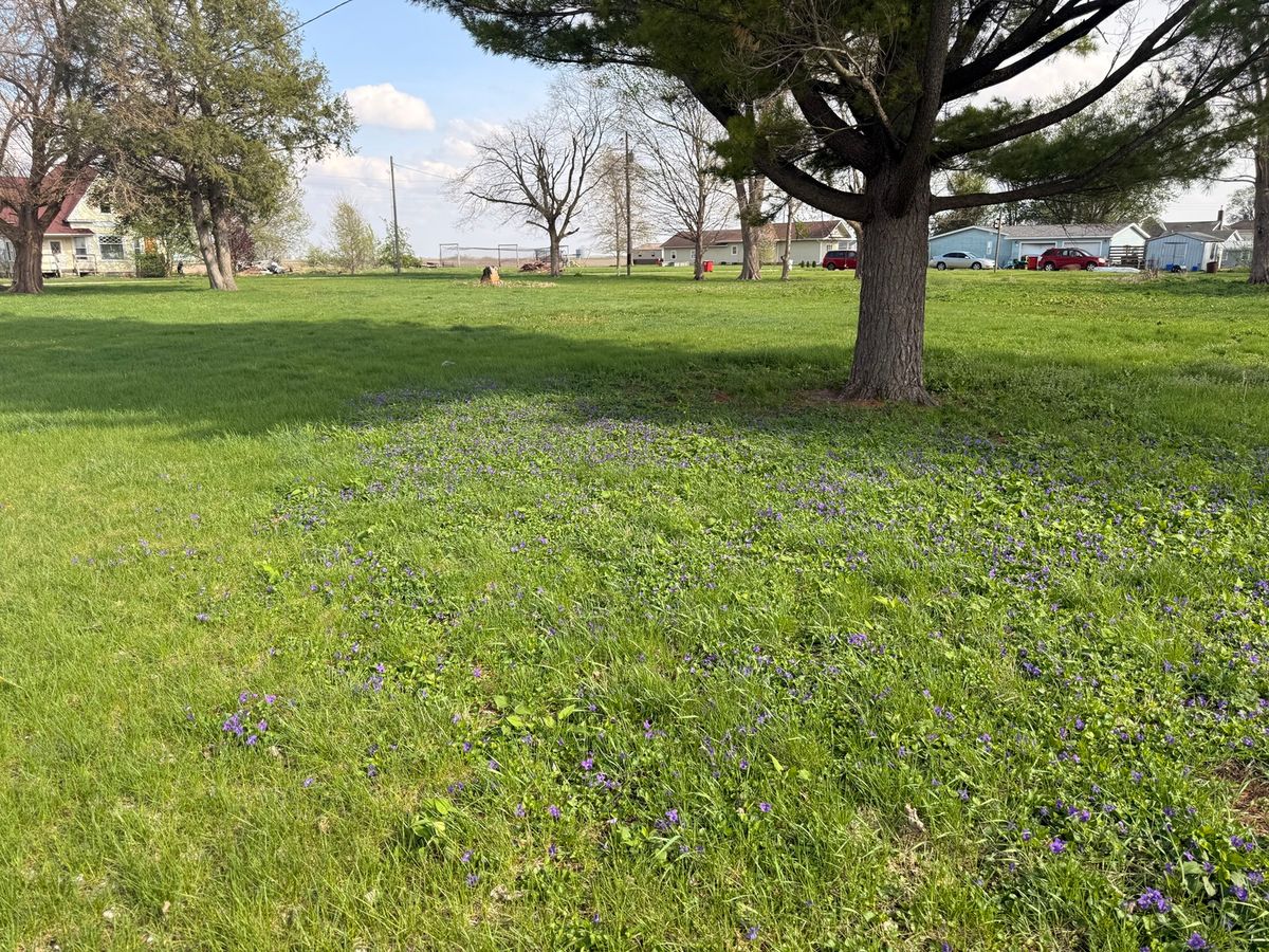 210 Maple Street, Magnolia, IL 61336