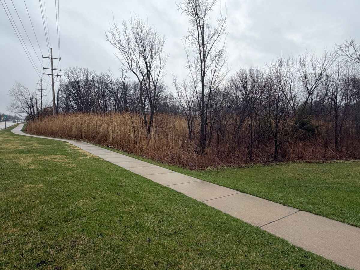 1201 Leinster Drive, Lemont, IL 60439