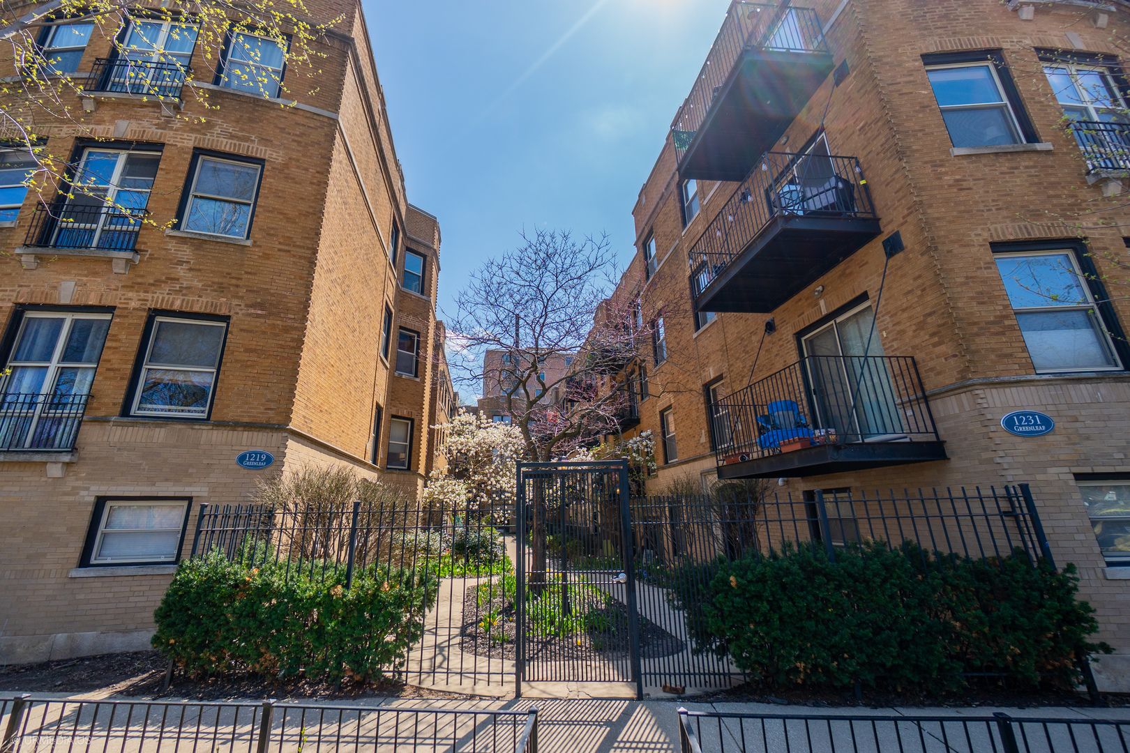 1231 W Greenleaf Avenue #2 — Chicago, IL 60626