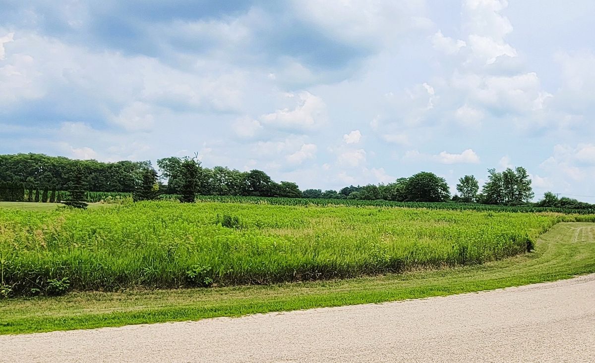 7961 Tampam Drive, Dixon, IL 61021