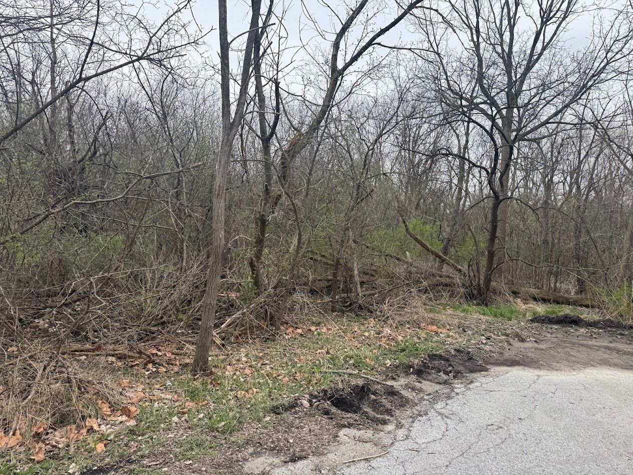 22828 Frederick Road — Steger, IL 60475