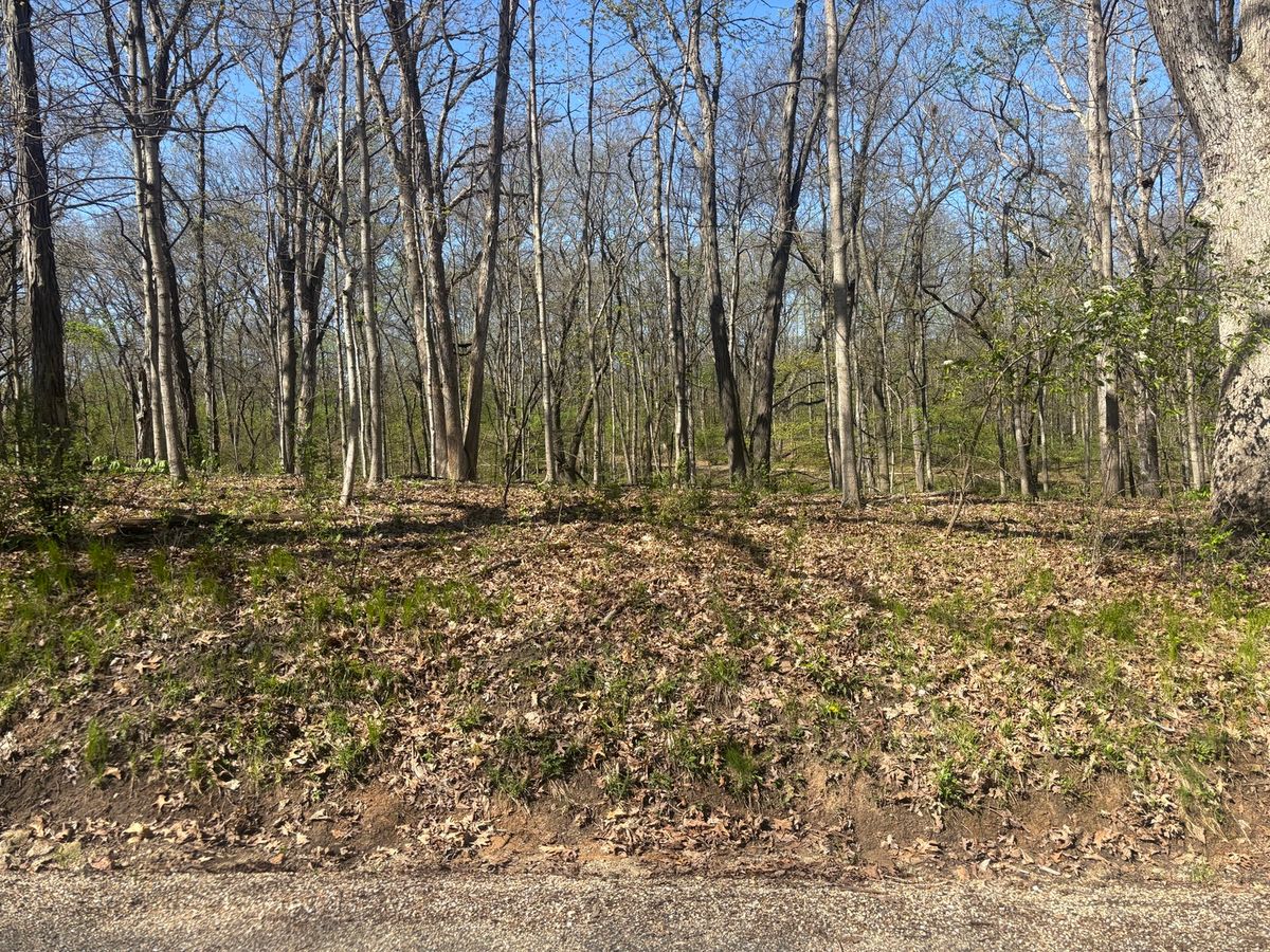 1618 Tanglewood Drive, Varna, IL 61375