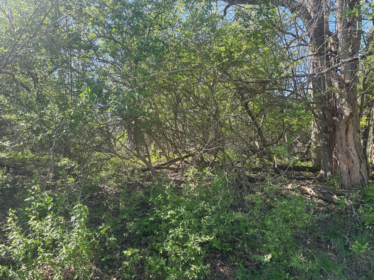 530 Rollingwood Place, Varna, IL 61375