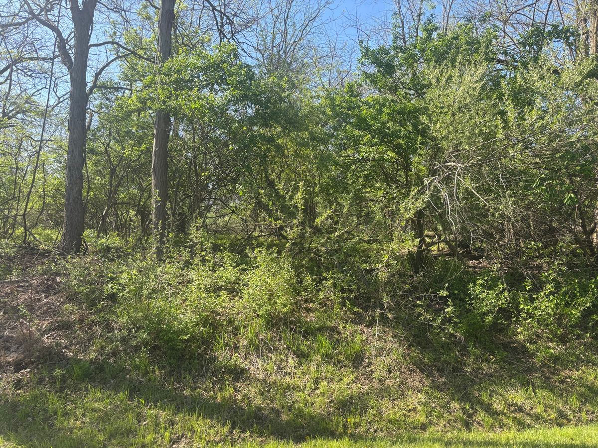 530 Rollingwood Place, Varna, IL 61375