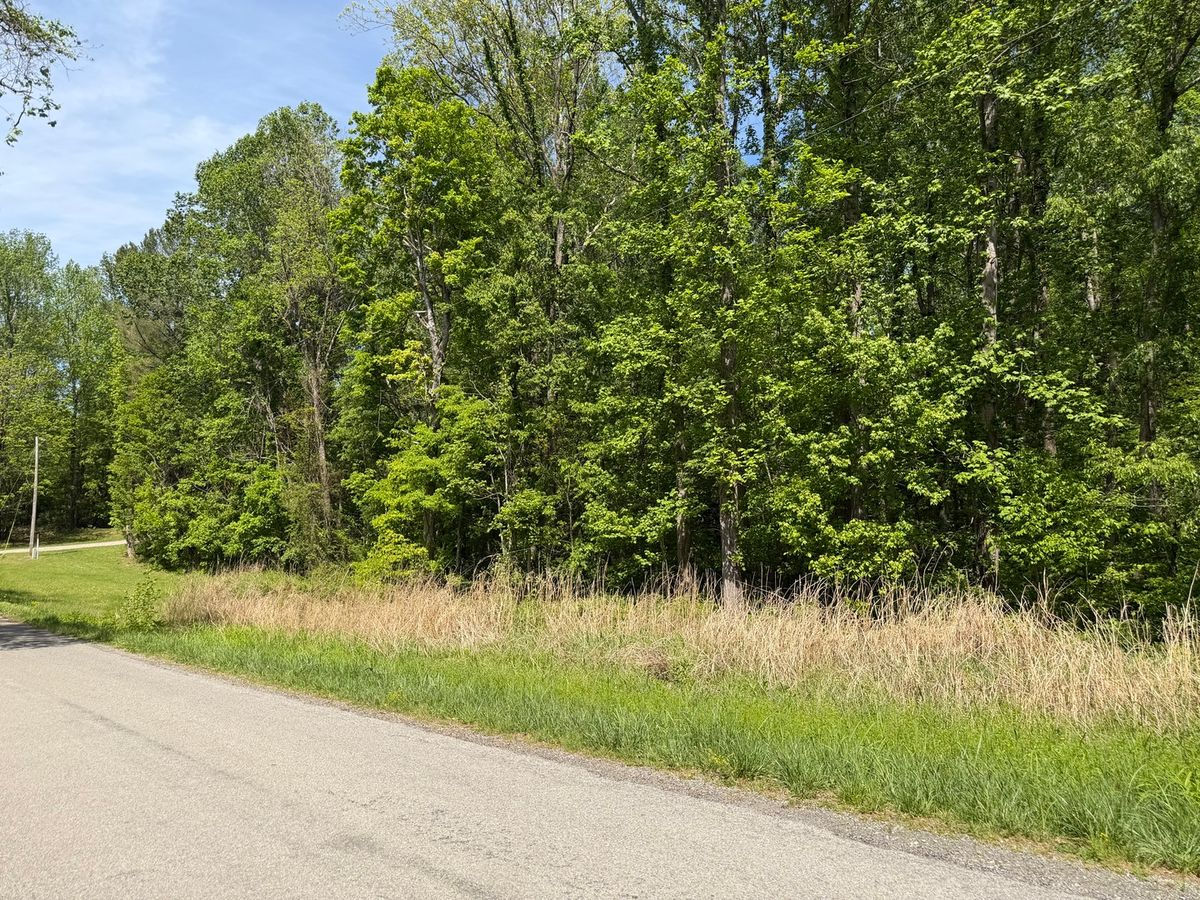 0000 Tower Rock Road, Elizabethtown, IL 62931