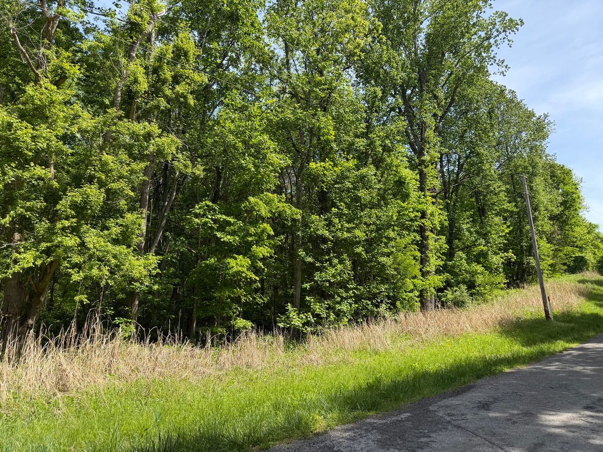 0000 Tower Rock Road, Elizabethtown, IL 62931